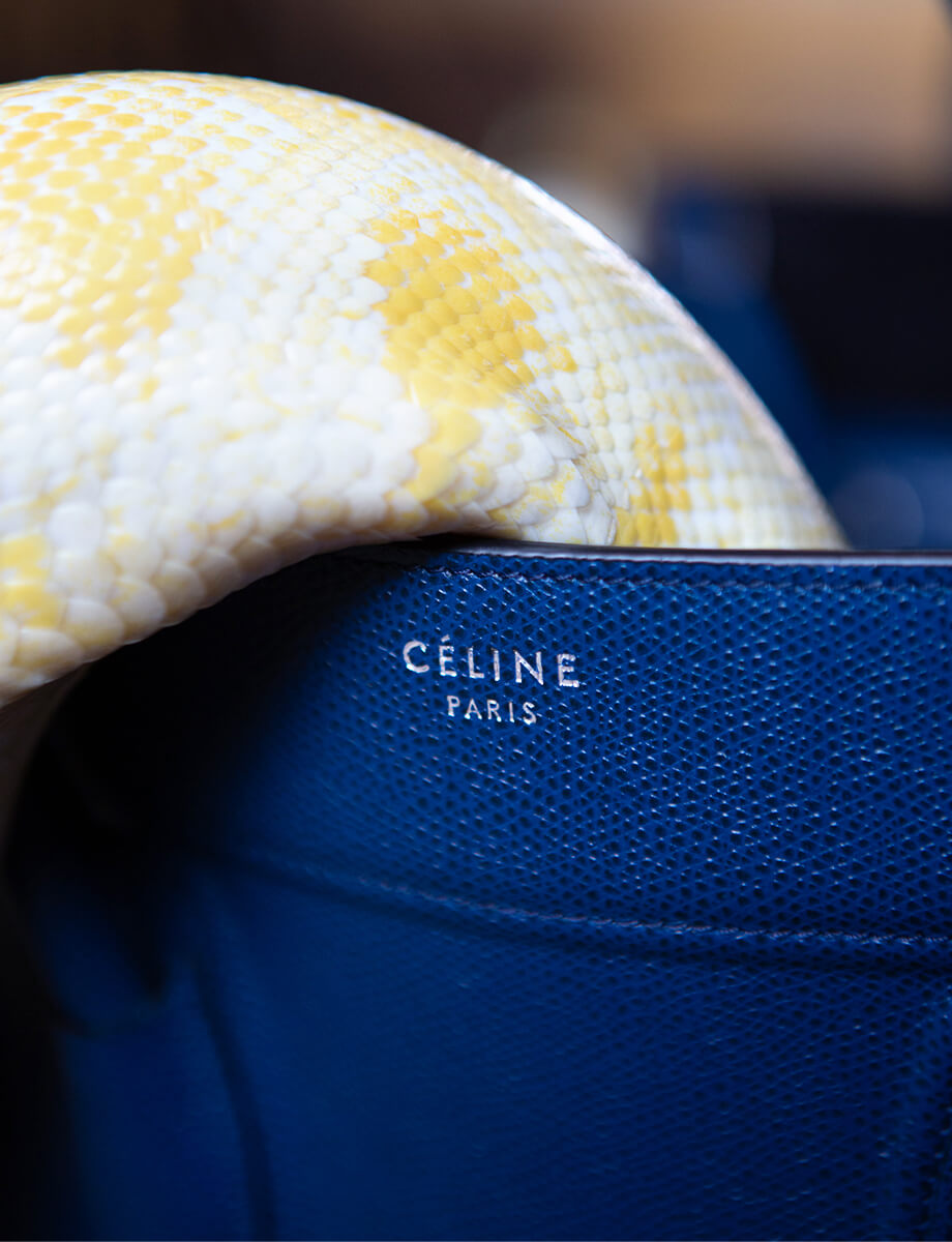 920x1200 Teaser 2 Celine